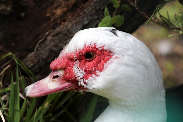 阿尔卡拉斯在迈阿密的度假vlog