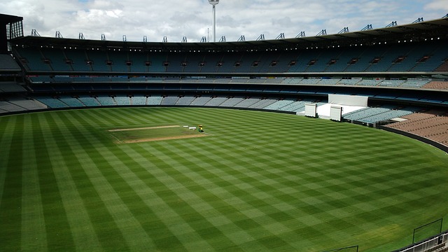 篮球CBA球队锁定季后赛席位，球迷沸腾